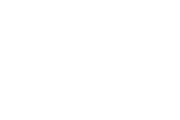 cortex